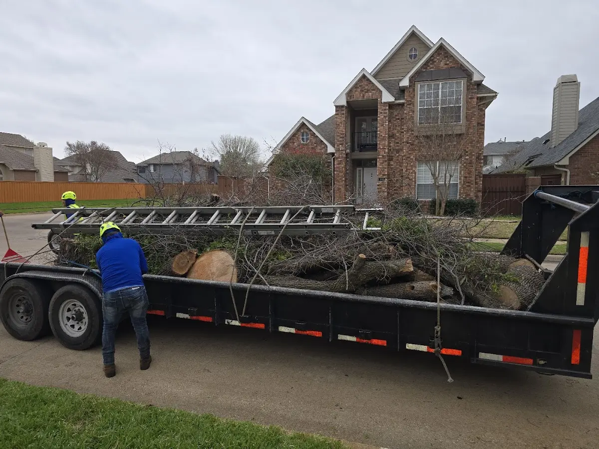 Expert Tree Removal with proper safety equipment in Scottville